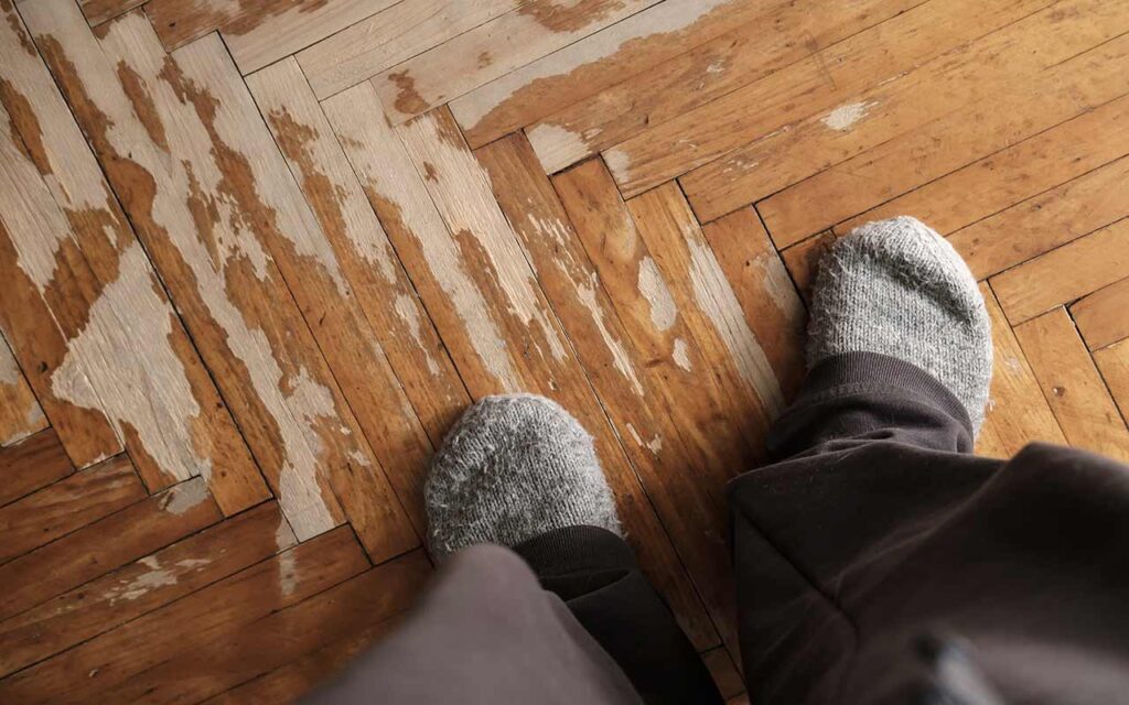 Mérule pleureuse et parquet massif