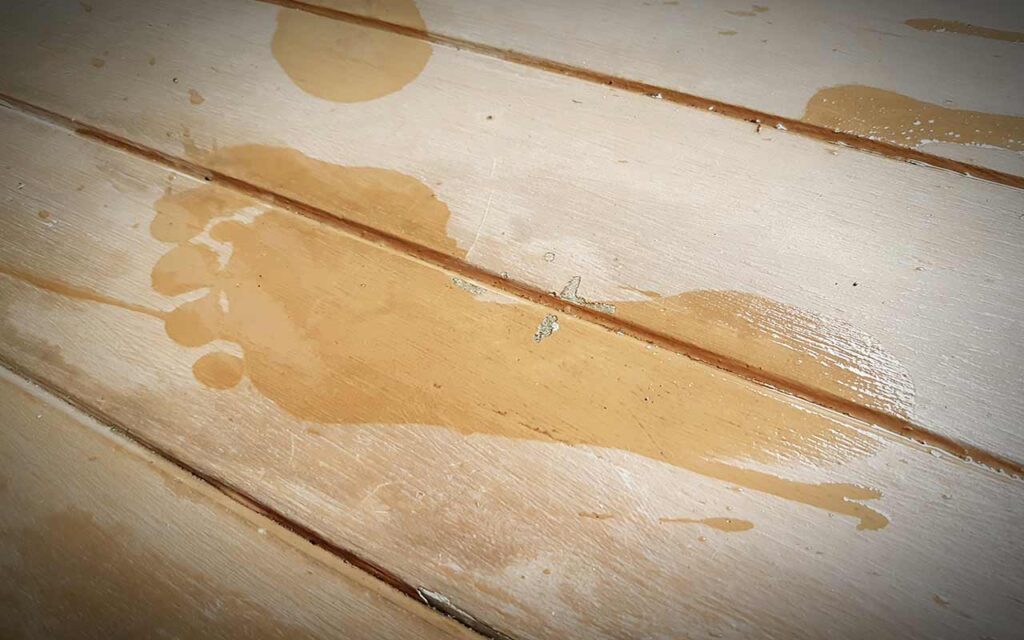 Parquet et odeur de moisi persistante