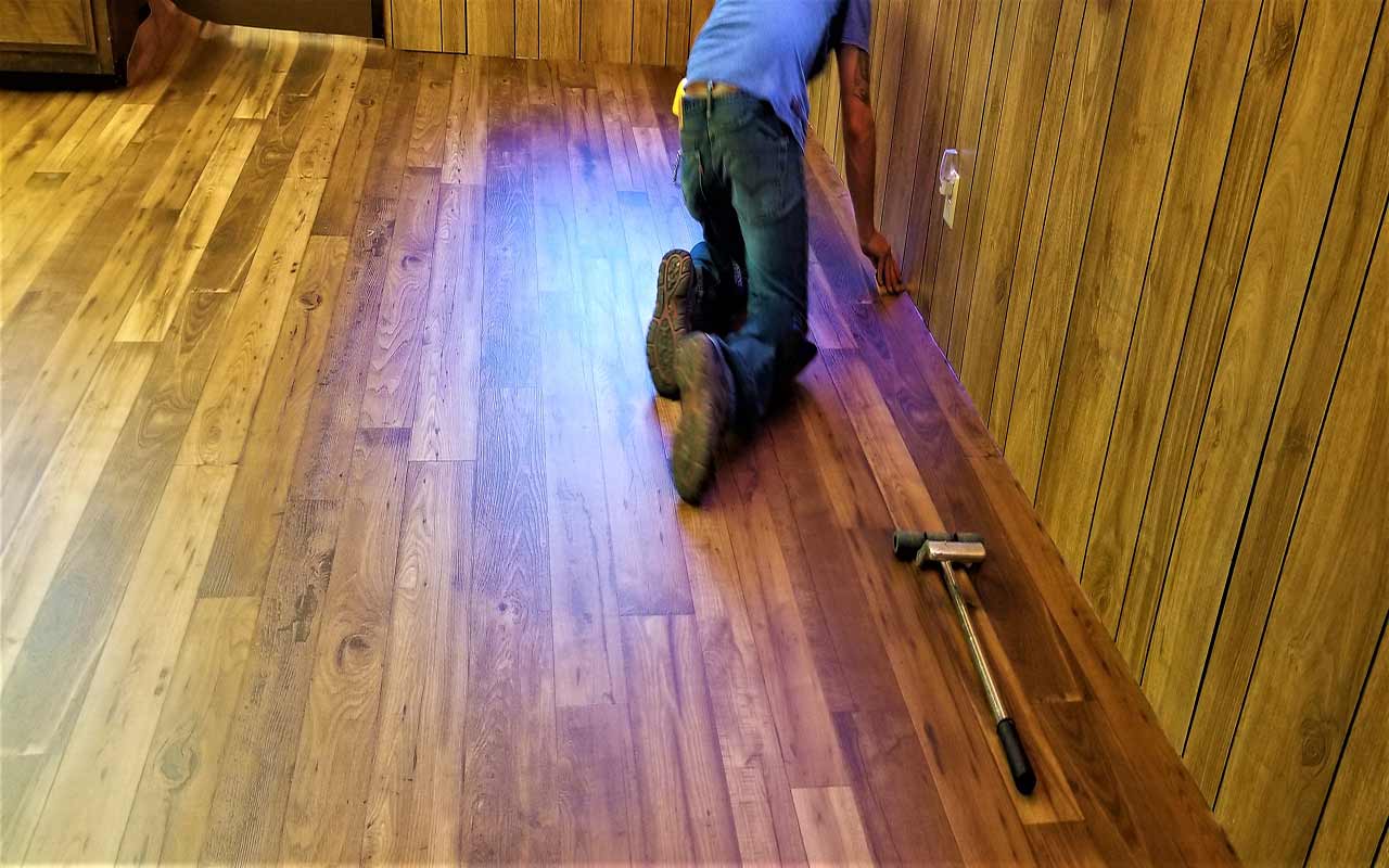 termites sont un fléau pour les habitations en France.